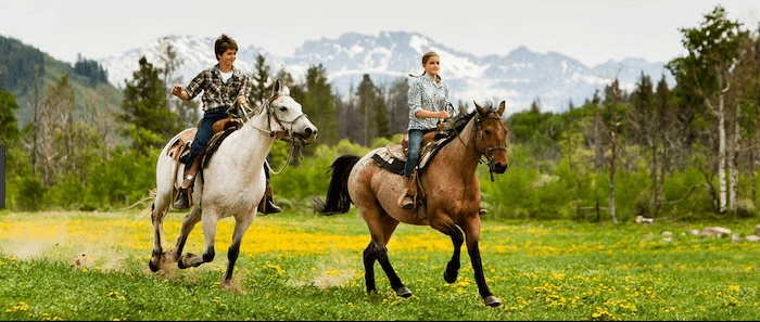 Confident plus-size woman riding Islington a horse through a field with a smile on her face.